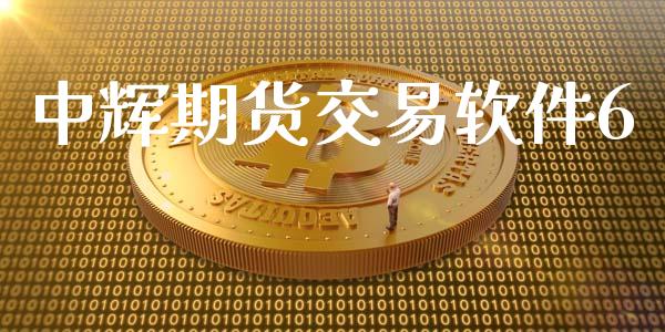 中辉期货交易软件6_https://wap.hpmsj.cn_外汇汇率_第1张