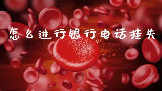怎么进行银行电话挂失_https://wap.hpmsj.cn_外汇汇率_第1张