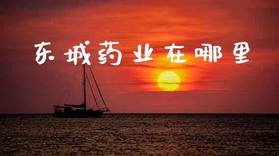 东城药业在哪里_https://wap.hpmsj.cn_财经时评_第1张