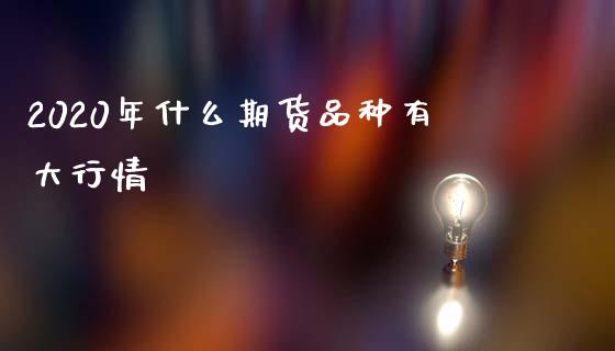 2020年什么期货品种有大行情_债券投资_第1张_财经时评_基金分析_期货交易_金融机构_外汇汇率_债券投资 2020年什么期货品种有大行情_https://wap.hpmsj.cn_债券投资_第1张