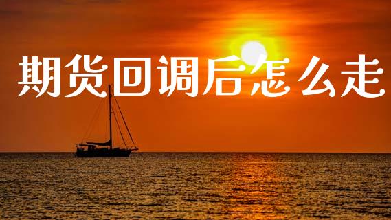 期货回调后怎么走_https://wap.hpmsj.cn_金融机构_第1张