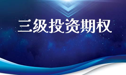 三级投资期权_https://wap.hpmsj.cn_金融机构_第1张