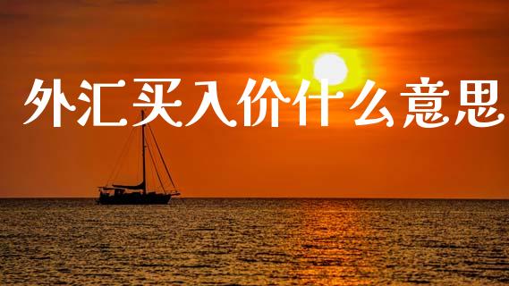 外汇买入价什么意思_https://wap.hpmsj.cn_财经时评_第1张