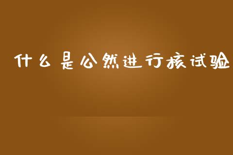 什么是公然进行核试验_https://wap.hpmsj.cn_外汇汇率_第1张