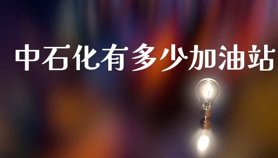 中石化有多少加油站_https://wap.hpmsj.cn_金融机构_第1张