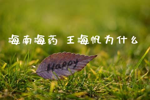 海南海药 王海帆为什么_https://wap.hpmsj.cn_外汇汇率_第1张