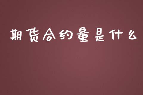 期货合约量是什么_https://wap.hpmsj.cn_外汇汇率_第1张