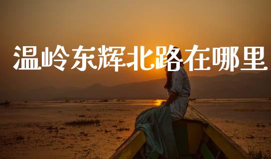 温岭东辉北路在哪里_https://wap.hpmsj.cn_财经时评_第1张