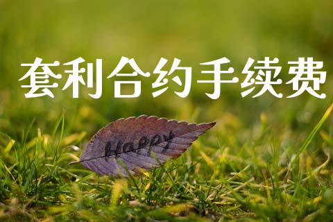 套利合约手续费_https://wap.hpmsj.cn_金融机构_第1张