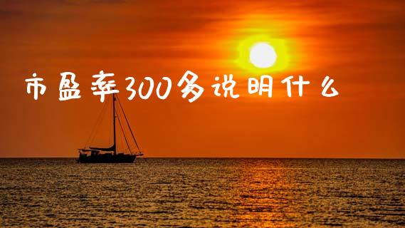 市盈率300多说明什么_https://wap.hpmsj.cn_债券投资_第1张