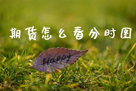 期货怎么看分时图_https://wap.hpmsj.cn_期货交易_第1张