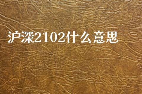 沪深2102什么意思_https://wap.hpmsj.cn_外汇汇率_第1张