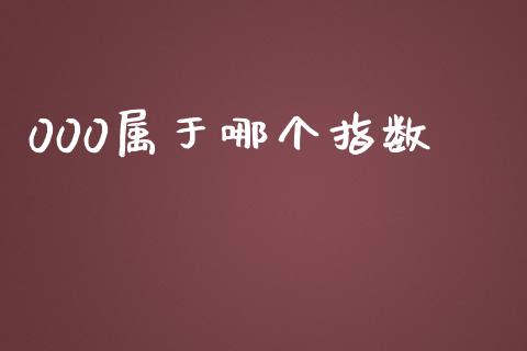 000属于哪个指数_https://wap.hpmsj.cn_外汇汇率_第1张