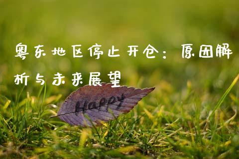 粤东地区停止开仓：原因解析与未来展望_https://wap.hpmsj.cn_财经时评_第1张