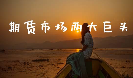 期货市场两大巨头_https://wap.hpmsj.cn_外汇汇率_第1张