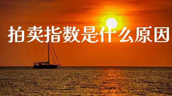 拍卖指数是什么原因_https://wap.hpmsj.cn_基金分析_第1张