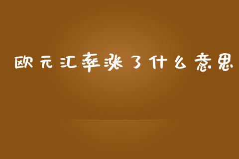 欧元汇率涨了什么意思_https://wap.hpmsj.cn_财经时评_第1张
