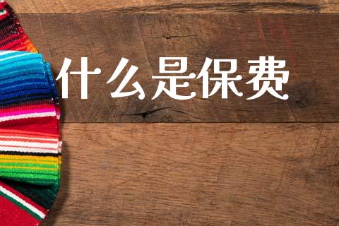 什么是保费_https://wap.hpmsj.cn_债券投资_第1张