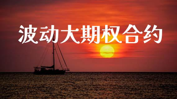 波动大期权合约_https://wap.hpmsj.cn_金融机构_第1张