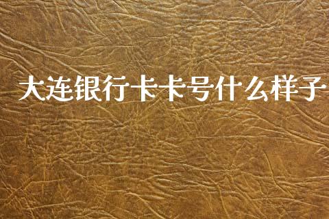 大连银行卡卡号什么样子_https://wap.hpmsj.cn_外汇汇率_第1张