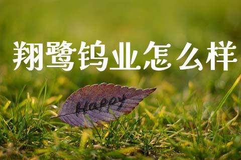翔鹭钨业怎么样_https://wap.hpmsj.cn_债券投资_第1张