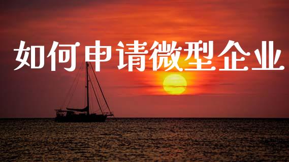 如何申请微型企业_https://wap.hpmsj.cn_期货交易_第1张