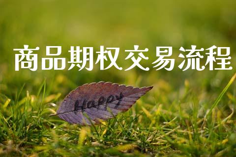 商品期权交易流程_https://wap.hpmsj.cn_外汇汇率_第1张