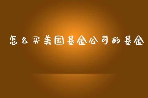 怎么买美国基金公司的基金_https://wap.hpmsj.cn_外汇汇率_第1张