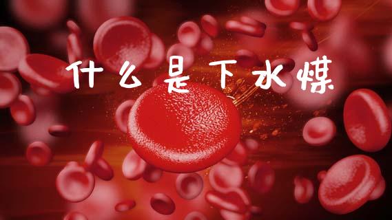 什么是下水煤_https://wap.hpmsj.cn_基金分析_第1张