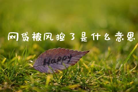 网贷被风控了是什么意思_https://wap.hpmsj.cn_期货交易_第1张