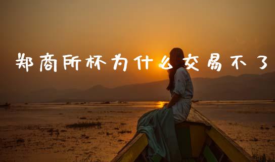 郑商所杯为什么交易不了_https://wap.hpmsj.cn_财经时评_第1张