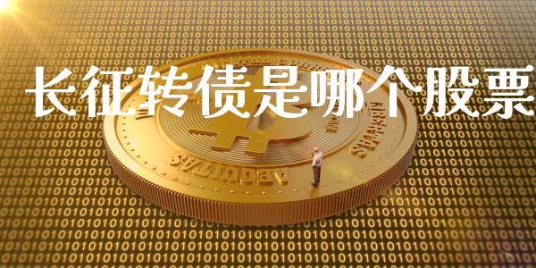 长征转债是哪个股票_https://wap.hpmsj.cn_基金分析_第1张