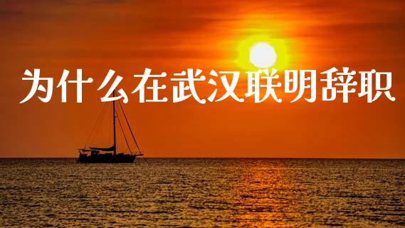 为什么在武汉联明辞职_https://wap.hpmsj.cn_期货交易_第1张