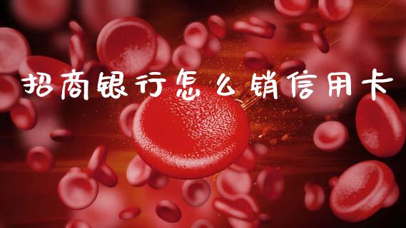 招商银行怎么销信用卡_https://wap.hpmsj.cn_财经时评_第1张