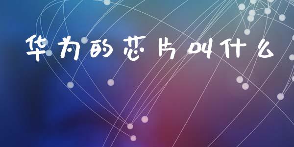 华为的芯片叫什么_https://wap.hpmsj.cn_期货交易_第1张