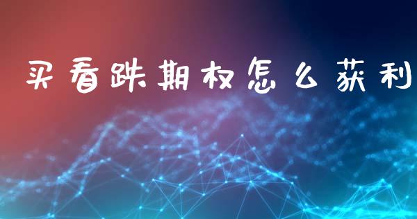 买看跌期权怎么获利_https://wap.hpmsj.cn_财经时评_第1张