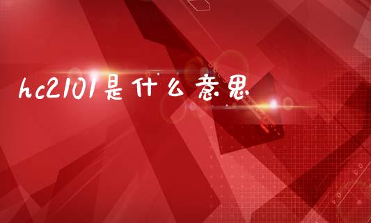 hc2101是什么意思_https://wap.hpmsj.cn_债券投资_第1张