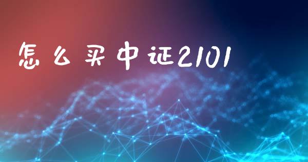 怎么买中证2101_https://wap.hpmsj.cn_债券投资_第1张