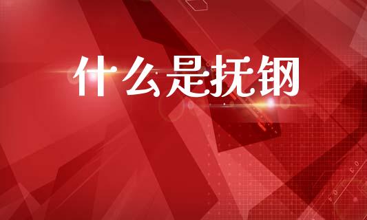 什么是抚钢_https://wap.hpmsj.cn_债券投资_第1张
