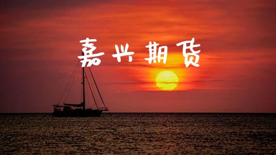 嘉兴期货_https://wap.hpmsj.cn_债券投资_第1张
