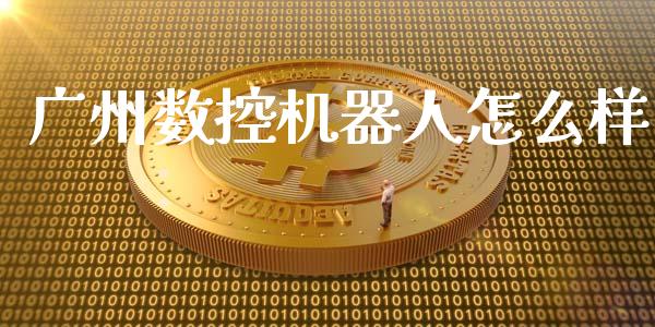 广州数控机器人怎么样_https://wap.hpmsj.cn_外汇汇率_第1张