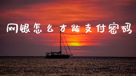 网银怎么才能支付密码_https://wap.hpmsj.cn_基金分析_第1张