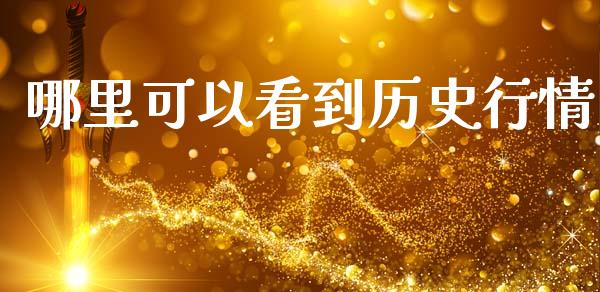 哪里可以看到历史行情_https://wap.hpmsj.cn_债券投资_第1张