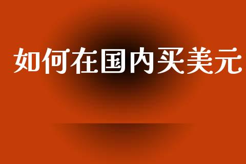 如何在国内买美元_https://wap.hpmsj.cn_财经时评_第1张