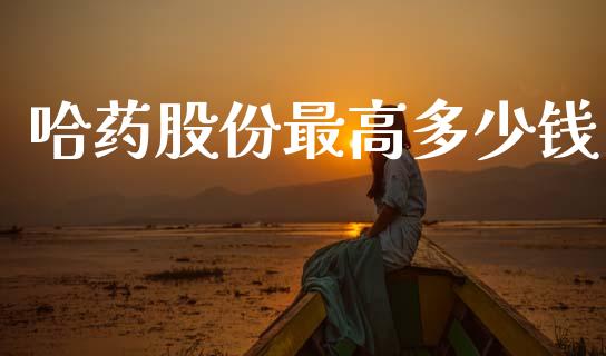 哈药股份最高多少钱_https://wap.hpmsj.cn_金融机构_第1张