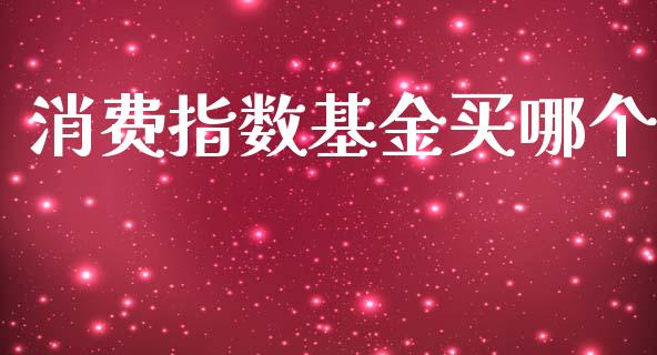 消费指数基金买哪个_https://wap.hpmsj.cn_期货交易_第1张