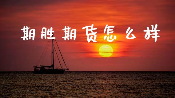 期胜期货怎么样_https://wap.hpmsj.cn_财经时评_第1张