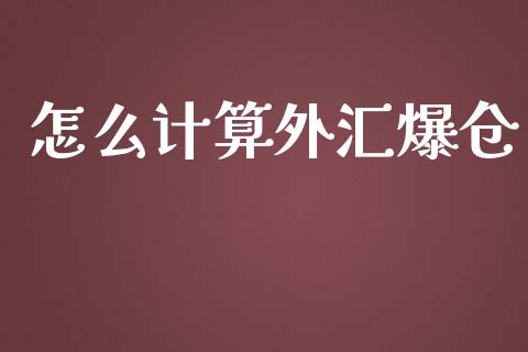 怎么计算外汇爆仓_https://wap.hpmsj.cn_金融机构_第1张
