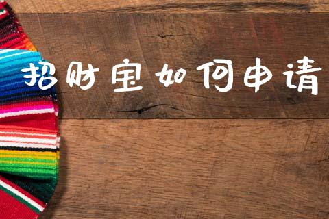 招财宝如何申请_https://wap.hpmsj.cn_金融机构_第1张