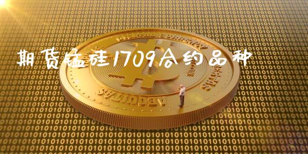期货锰硅1709合约品种_https://wap.hpmsj.cn_债券投资_第1张